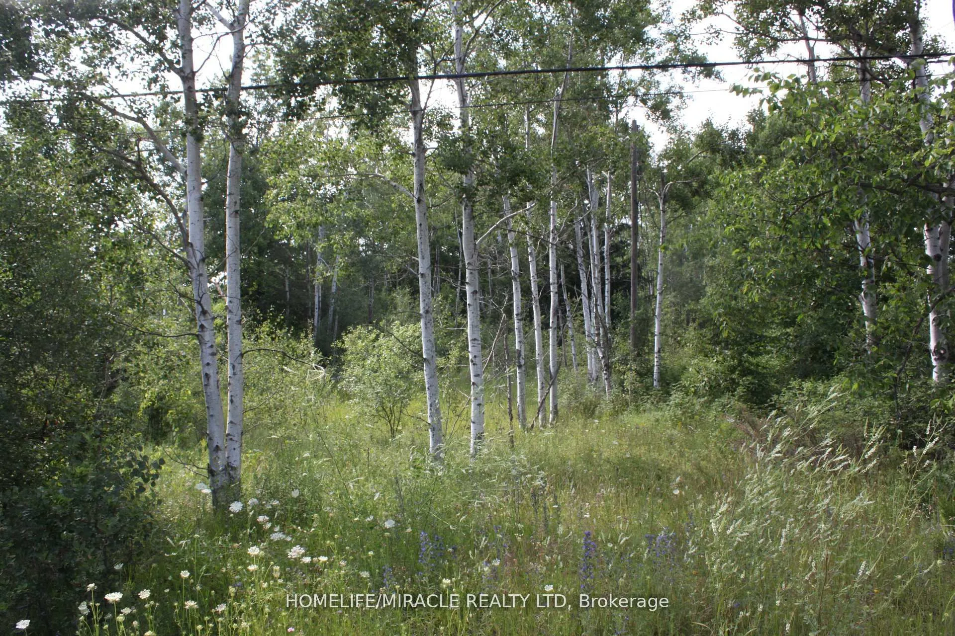 Vacant Land For Sale | X13112804