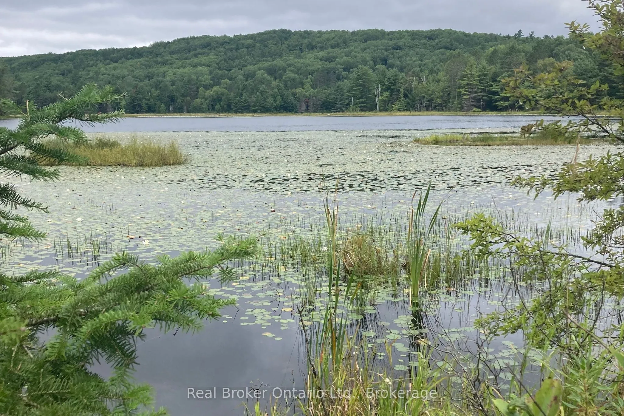 Vacant Land For Sale | X13123442
