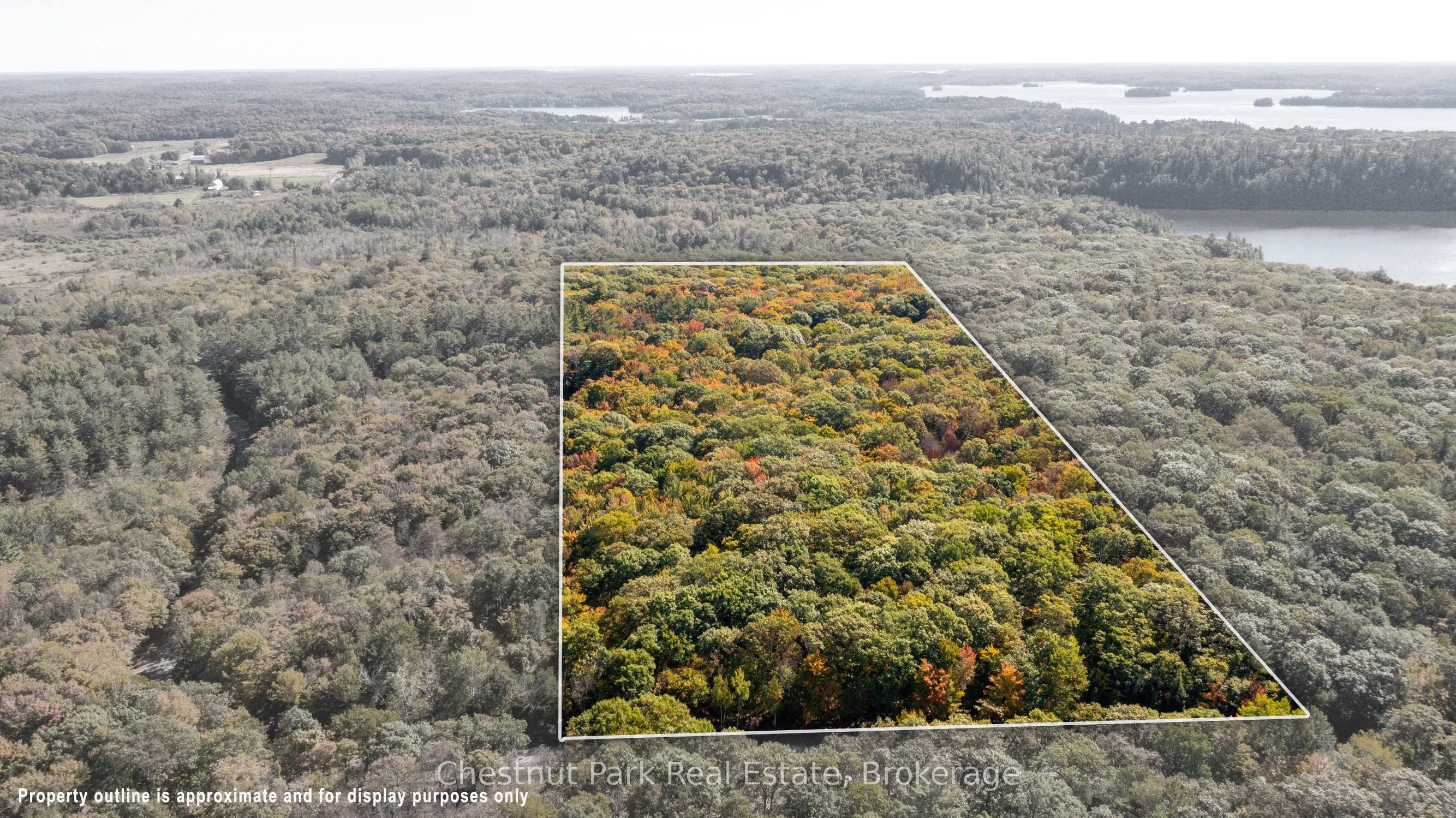 Vacant Land For Sale | X13124076