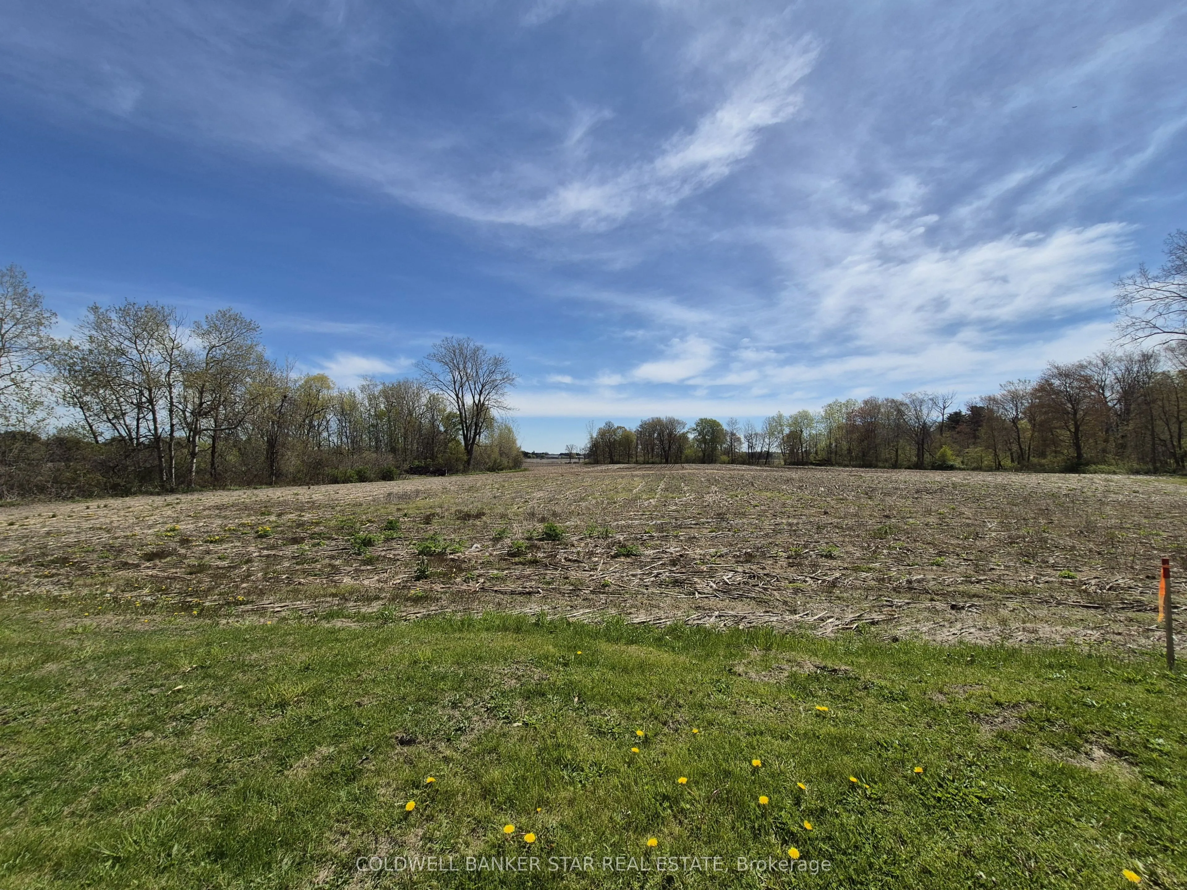 Vacant Land For Sale | X13129500
