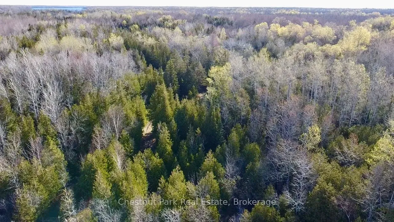 Vacant Land For Sale | X13133658