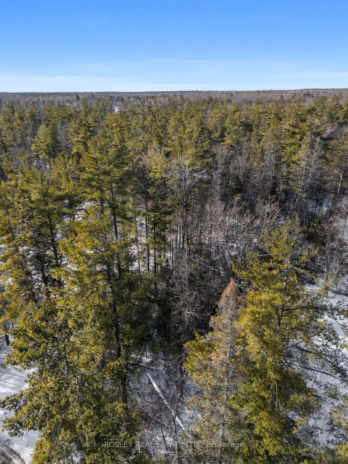 Vacant Land For Sale | X13133912