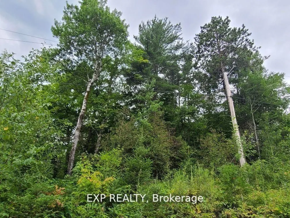 Vacant Land For Sale | X13136958