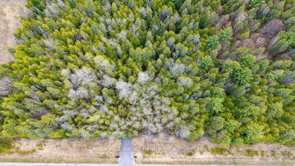 Vacant Land For Sale | X13138154