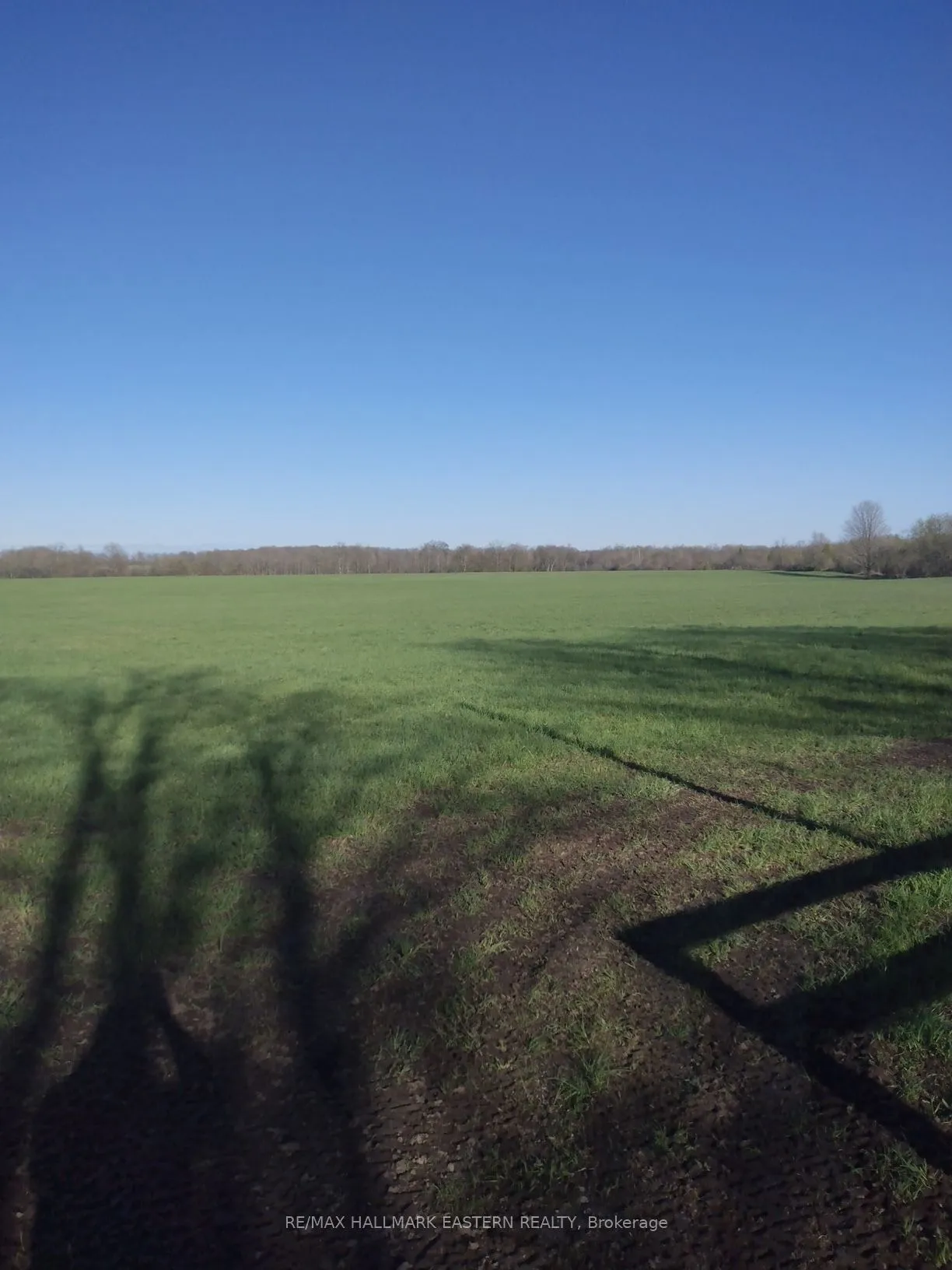 Vacant Land For Sale | X13138336
