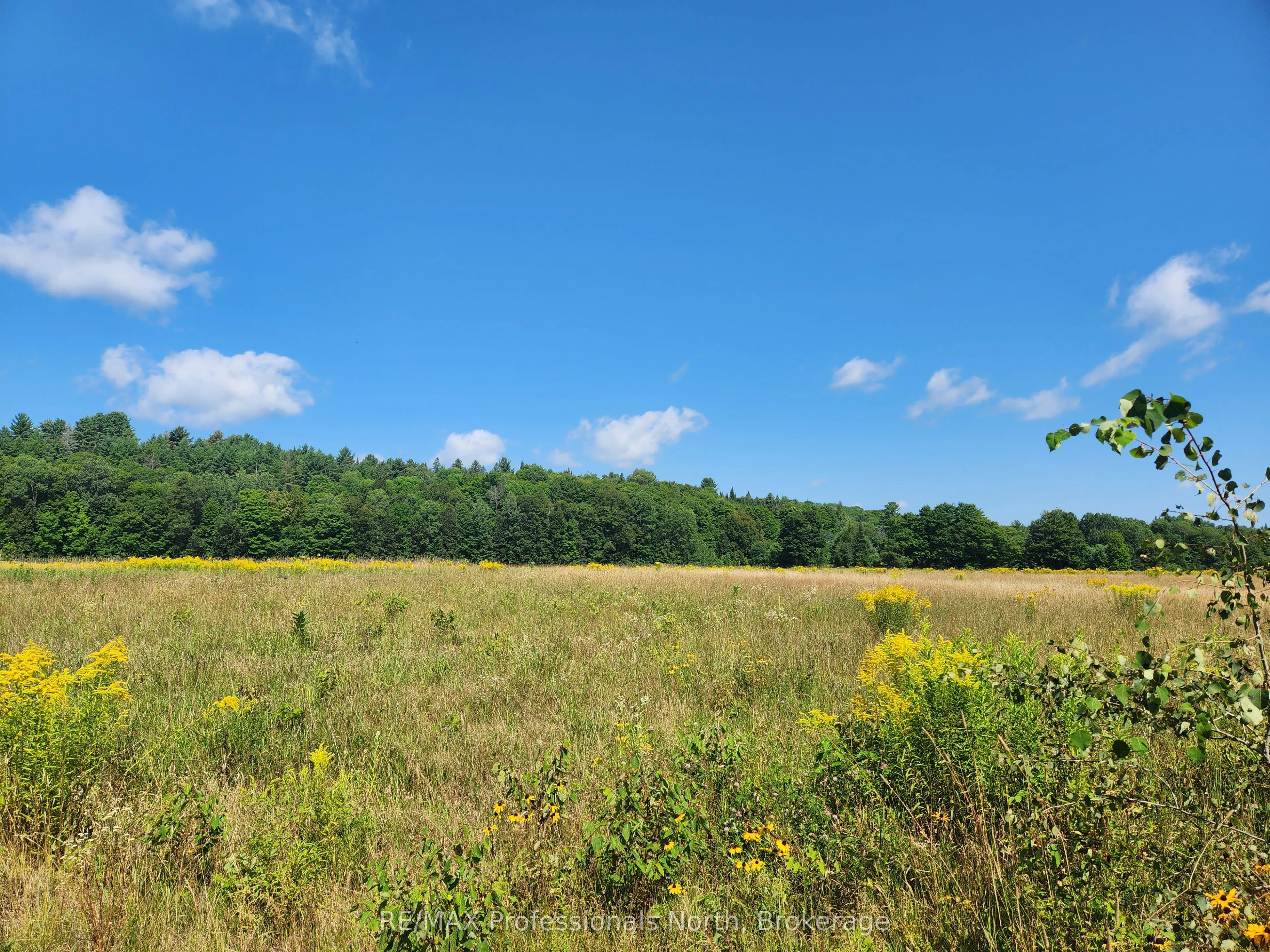 Vacant Land For Sale | X13145594