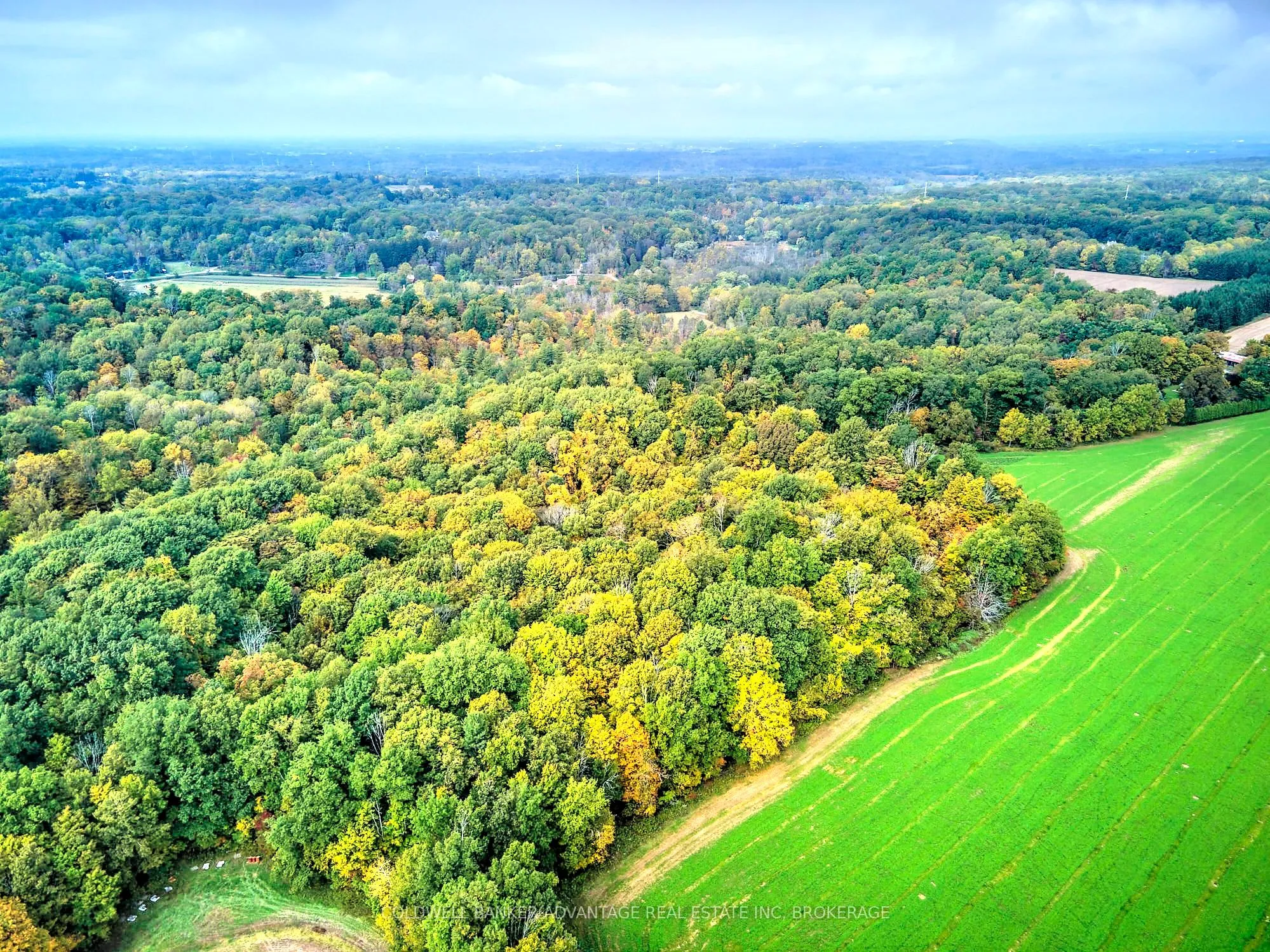 Vacant Land For Sale | X13147718