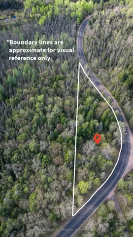 Fully Treed Building Lot