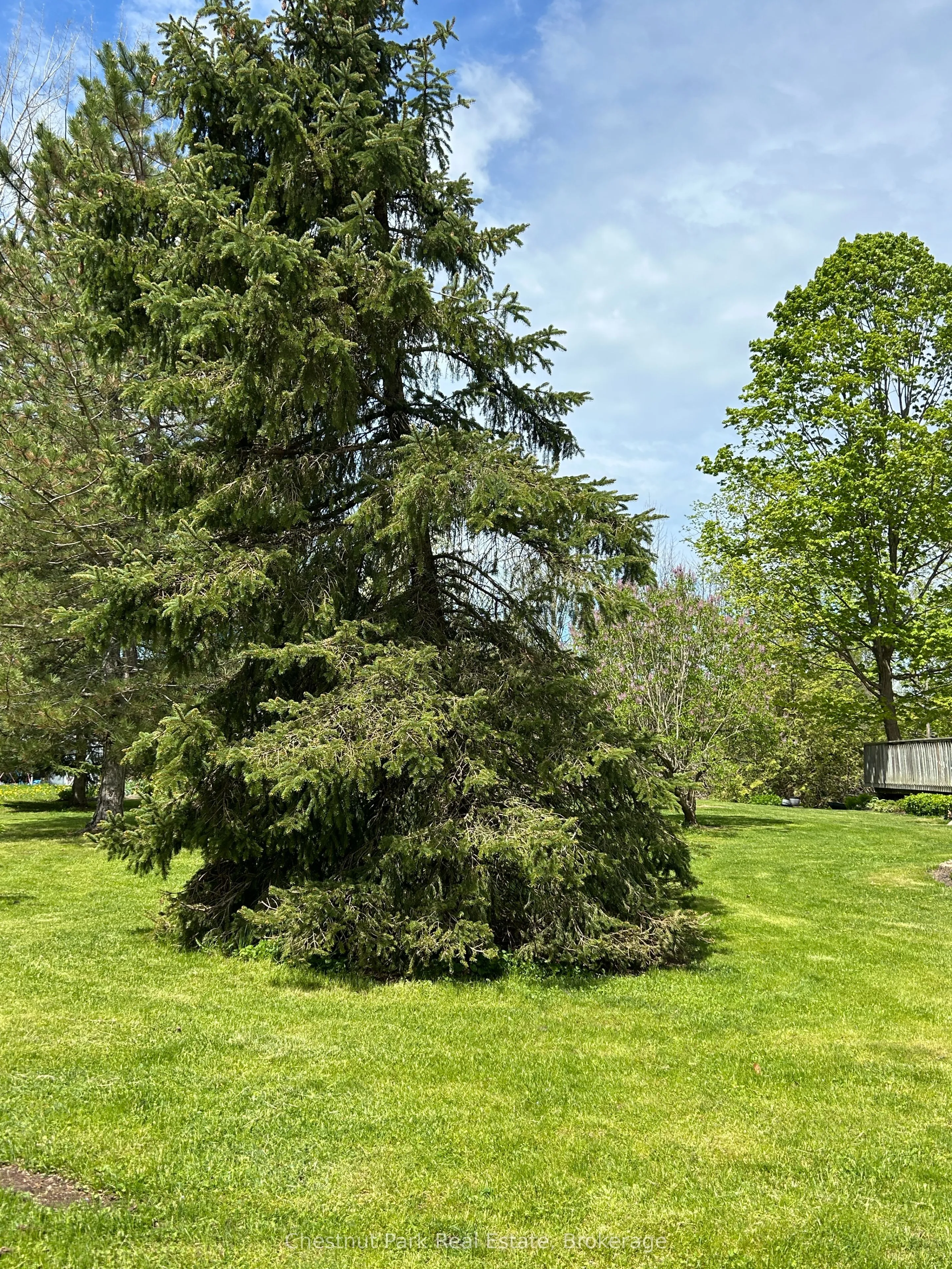 Vacant Land For Sale | X13162950