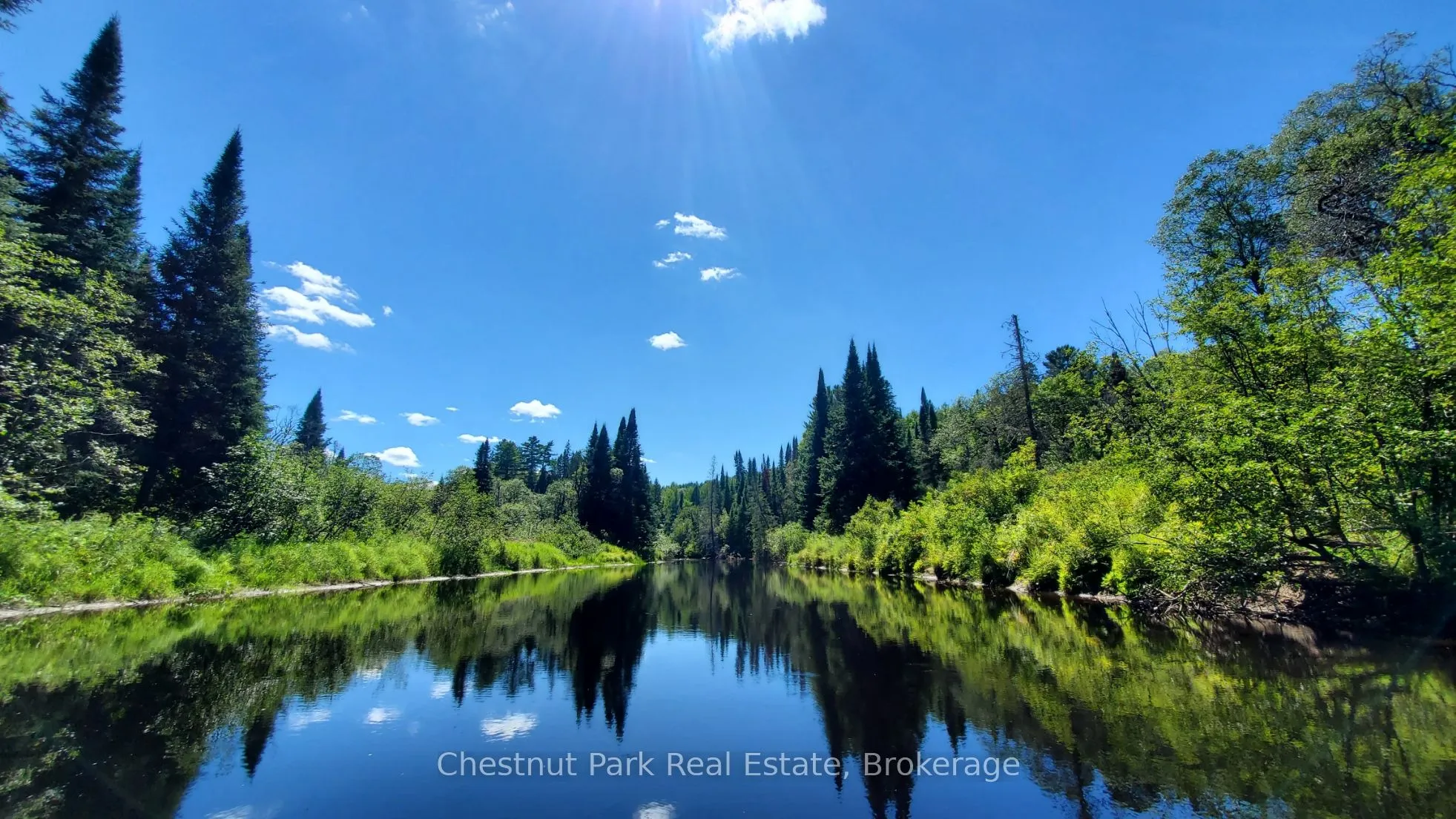 Vacant Land For Sale | X13166232