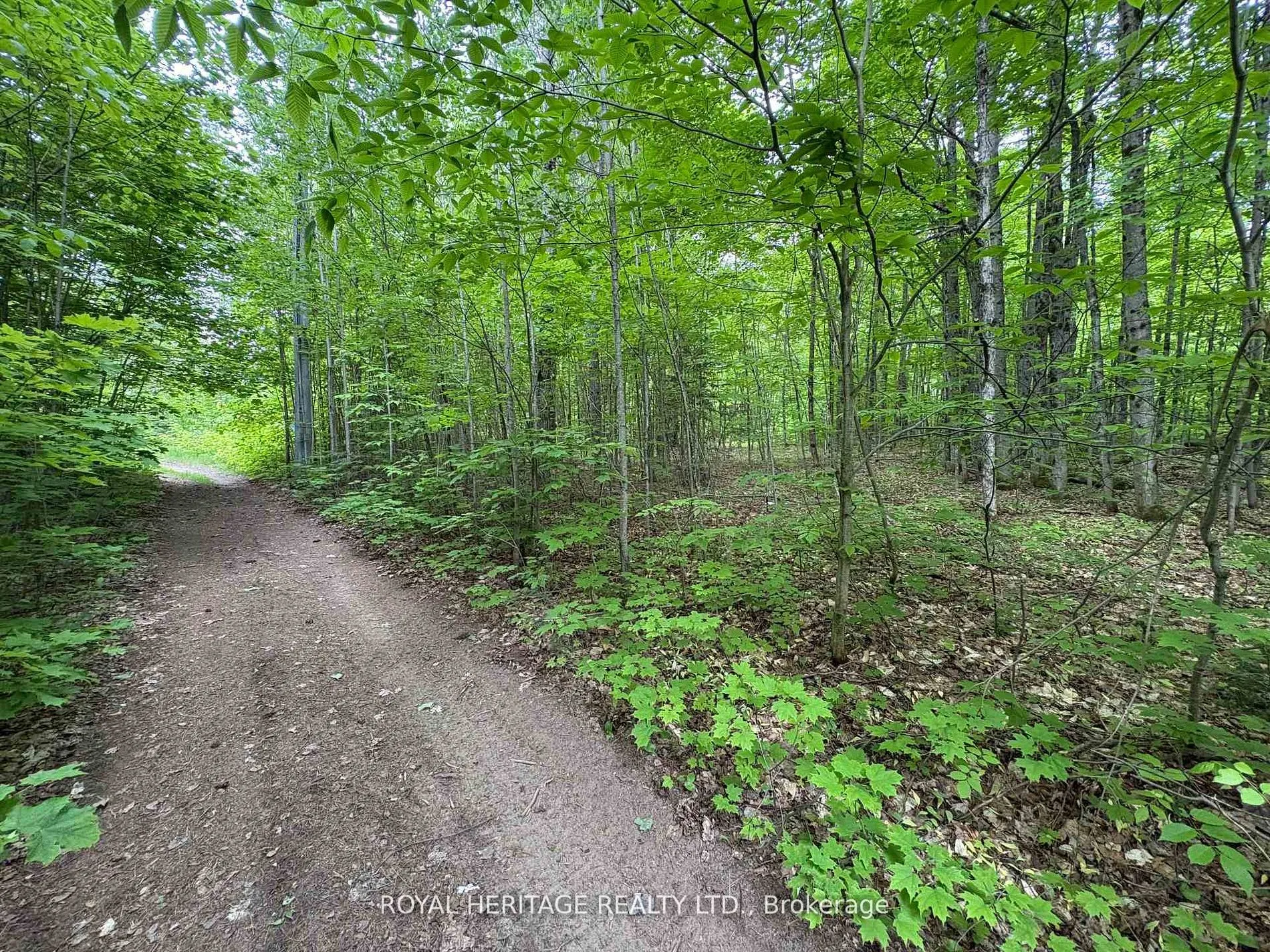 Vacant Land For Sale | X13166360