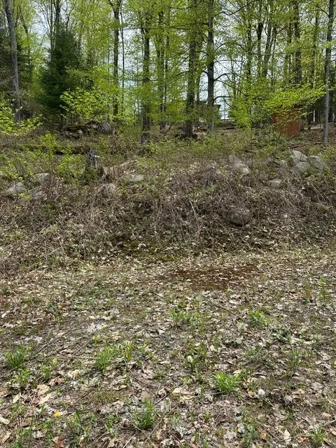 Vacant Land For Sale | X13166426