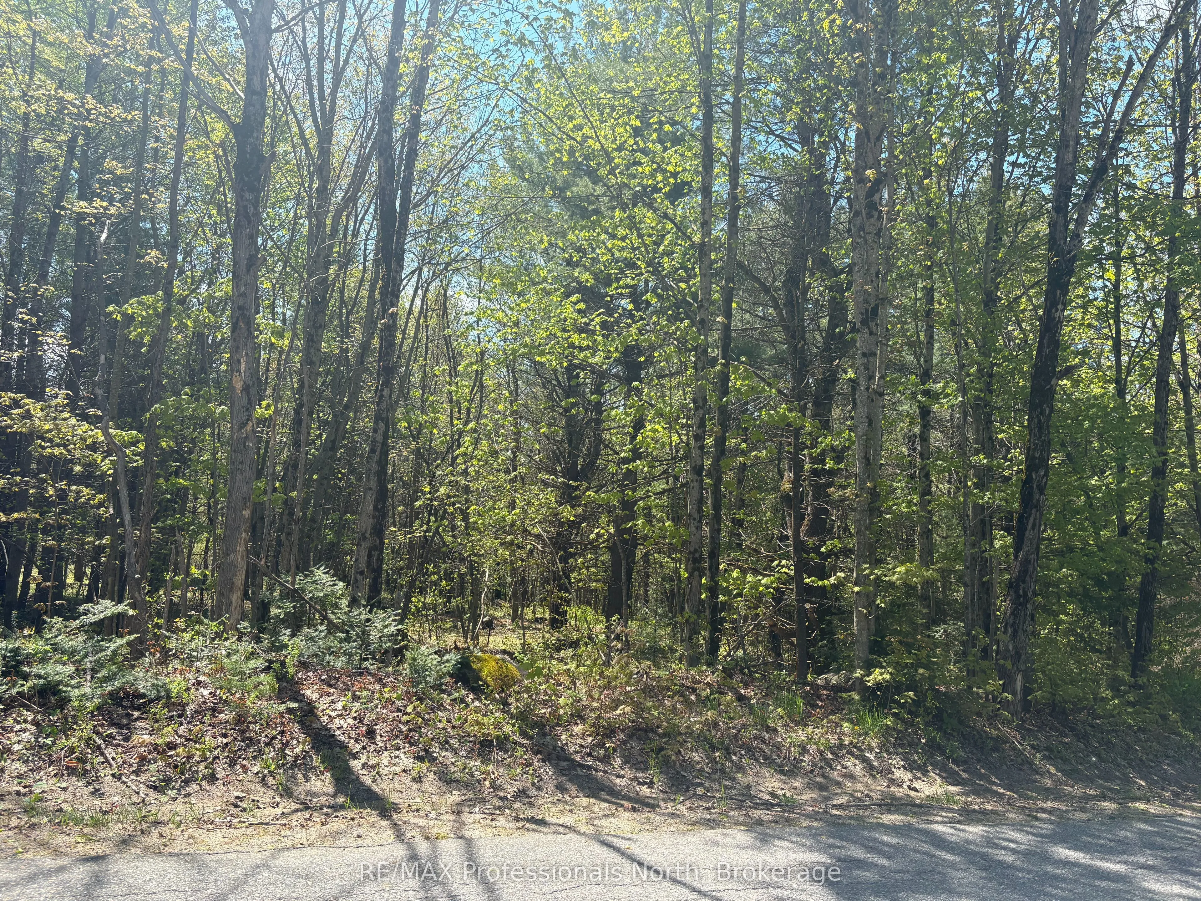 Vacant Land For Sale | X13170524