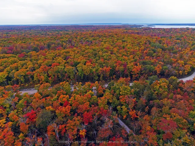 Fall Colours Looking West