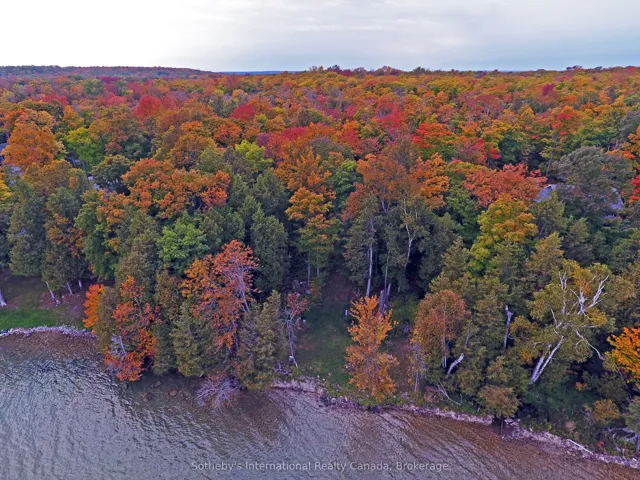 Fall Colours West