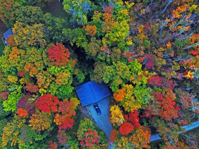 Aerial View of Fall Colours