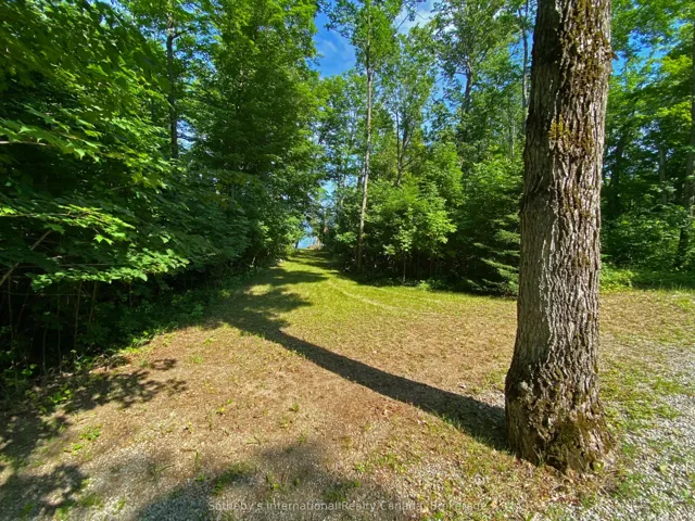 Treed with Hardwood & Cedar