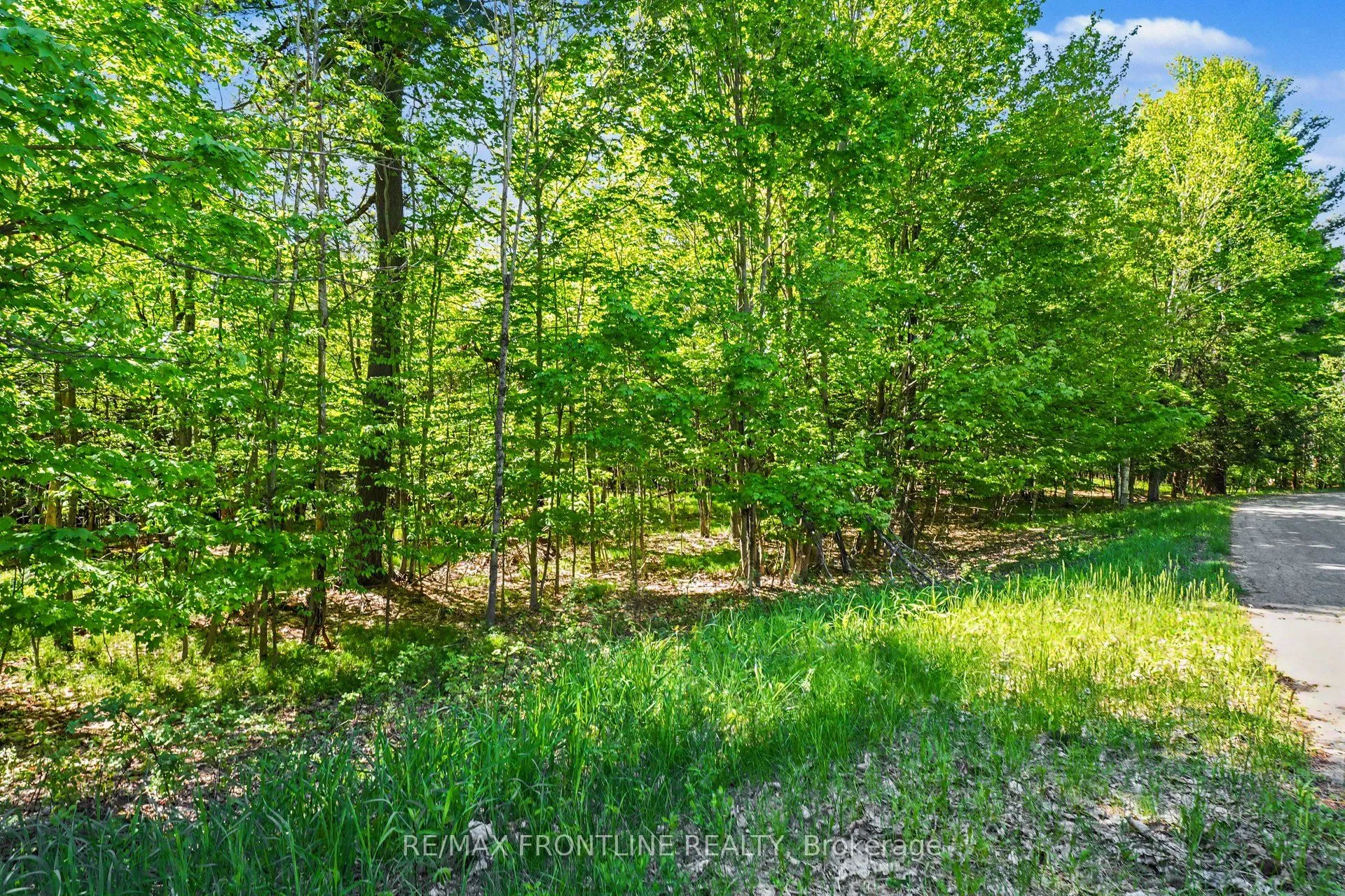Vacant Land For Sale | X13204706