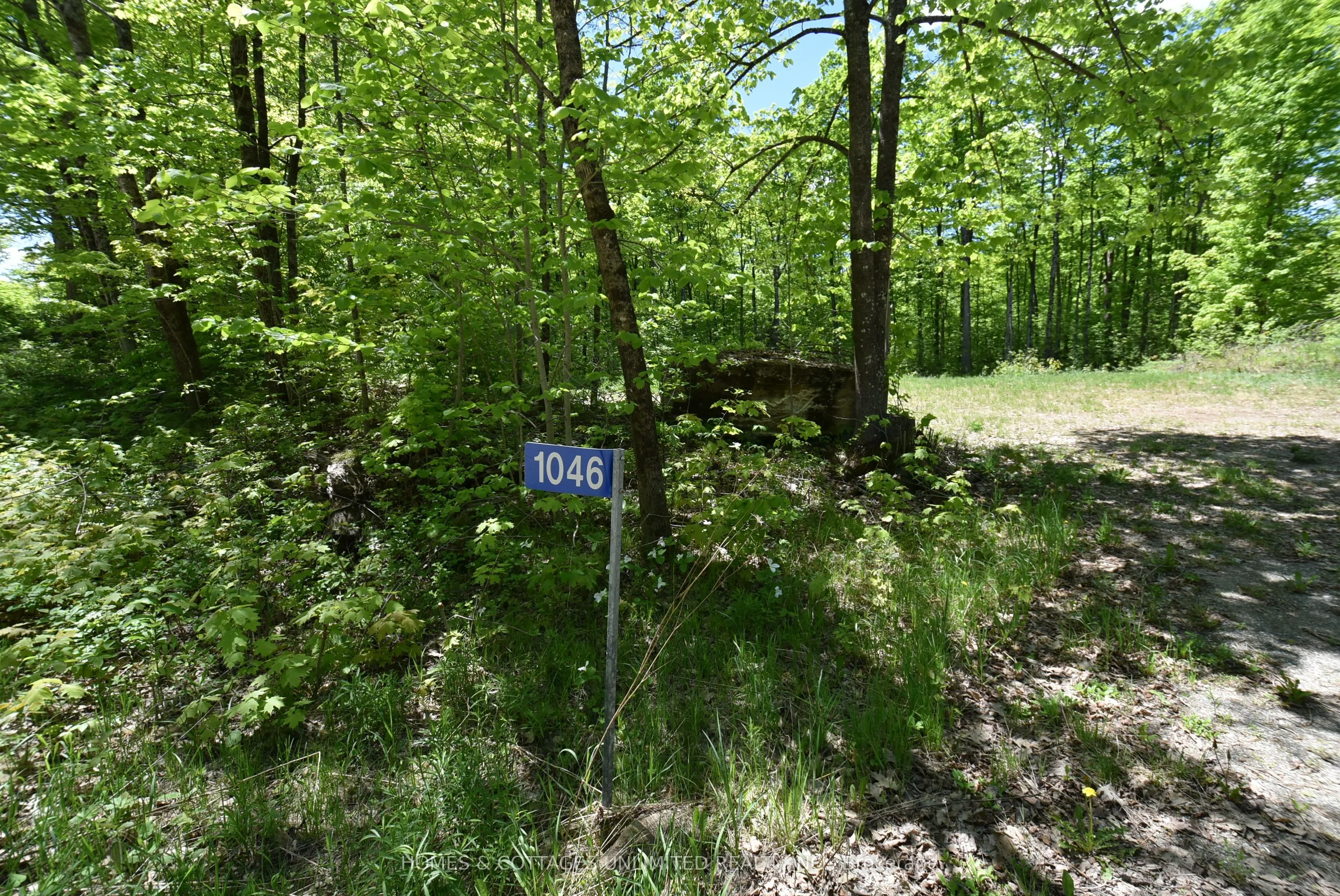 Vacant Land For Sale | X13216454