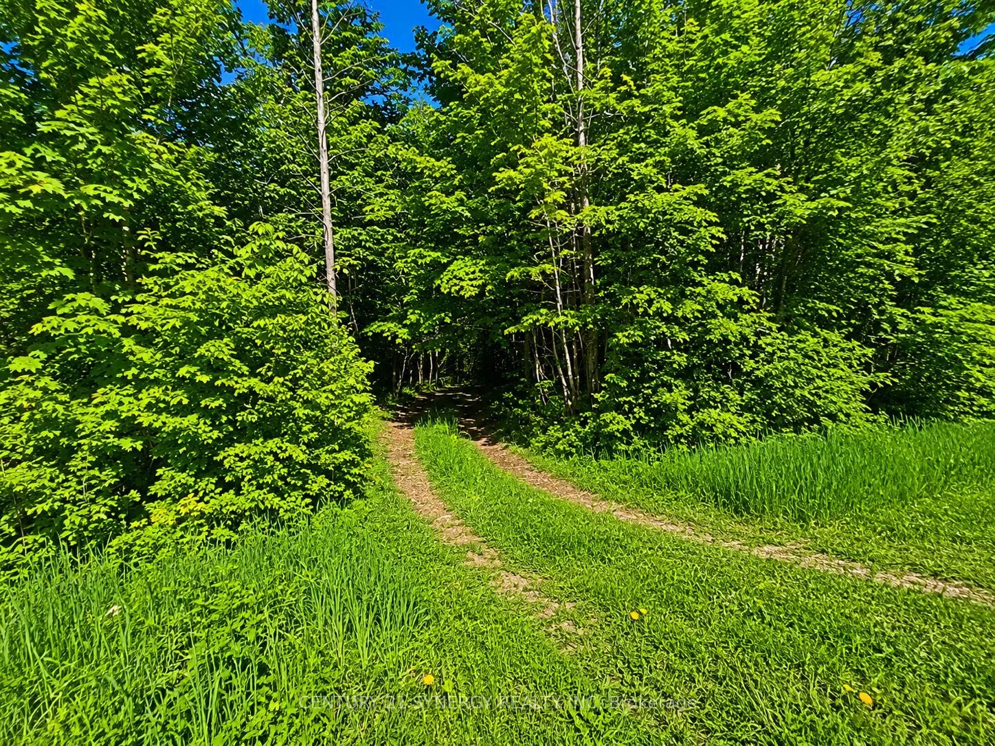 Vacant Land For Sale | X13225674