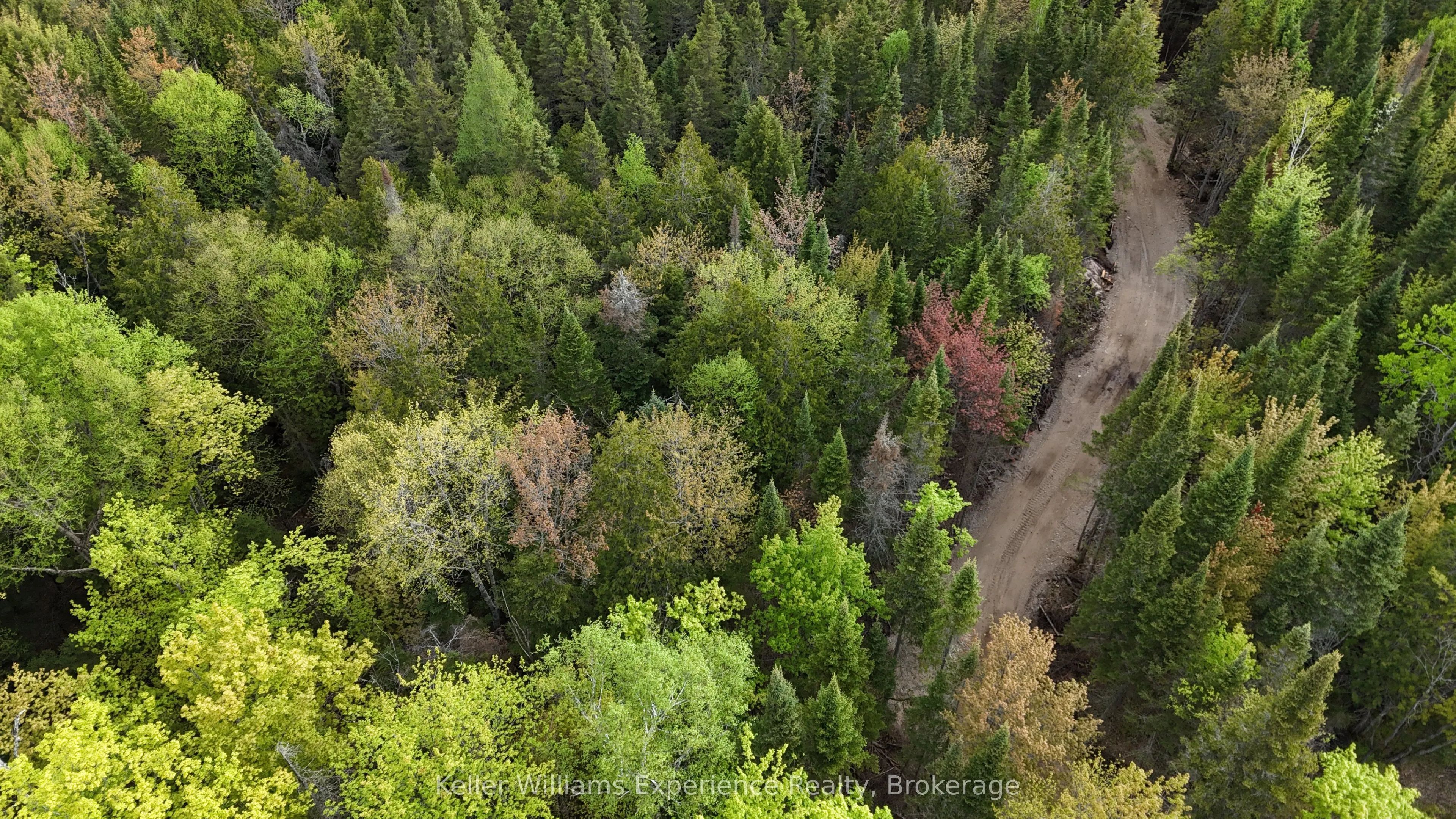 Vacant Land For Sale | X13227096