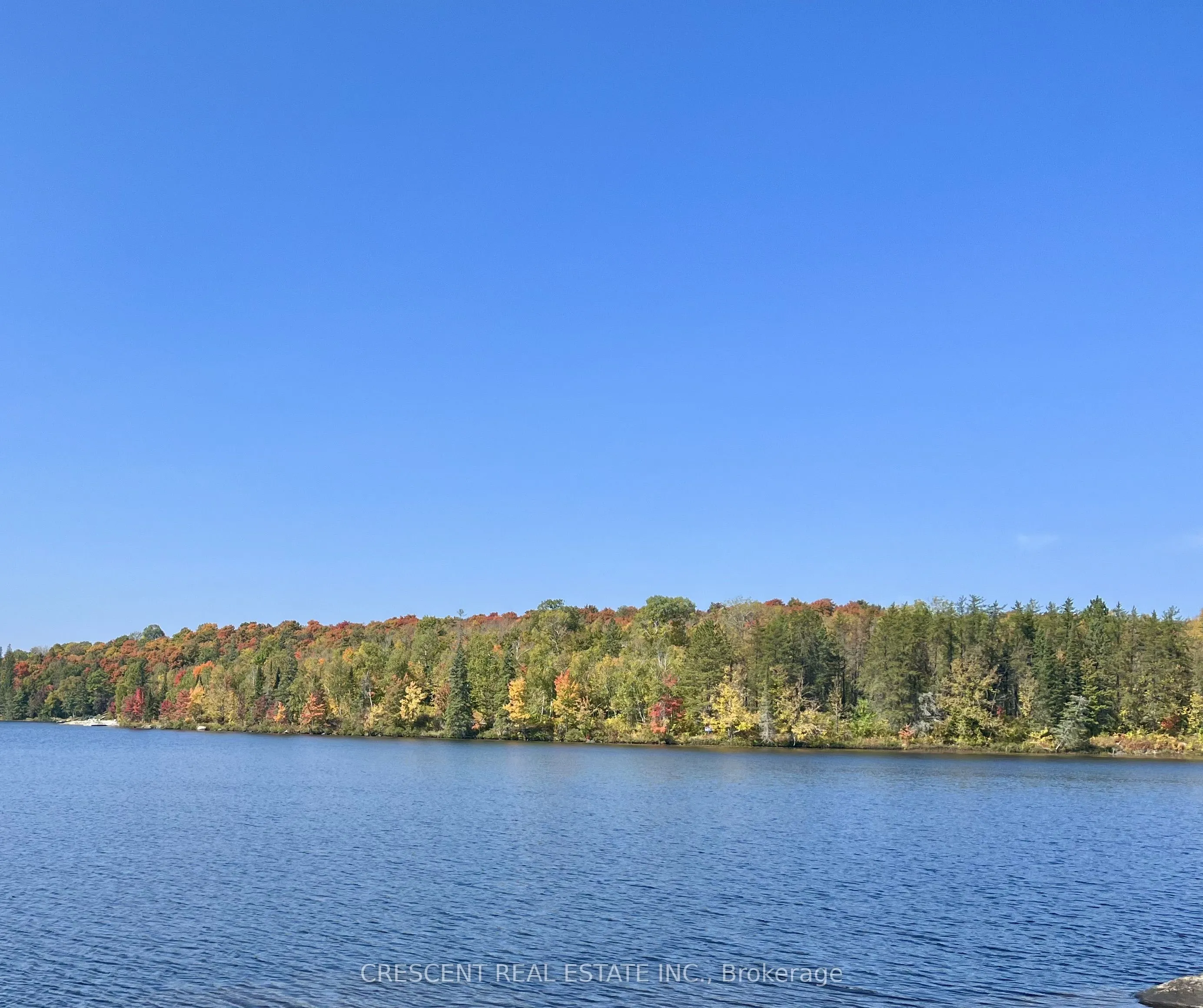 Vacant Land For Sale | X13230166