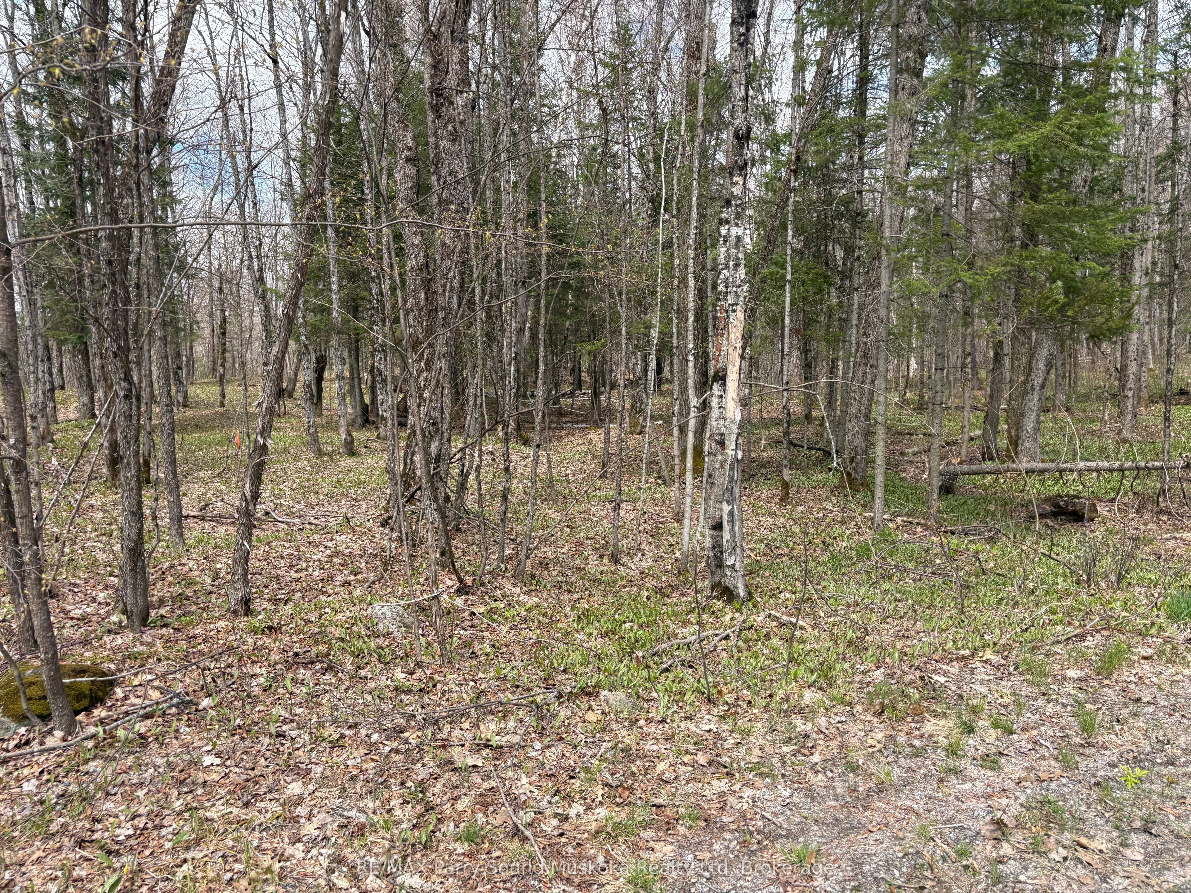 Vacant Land For Sale | X13231862