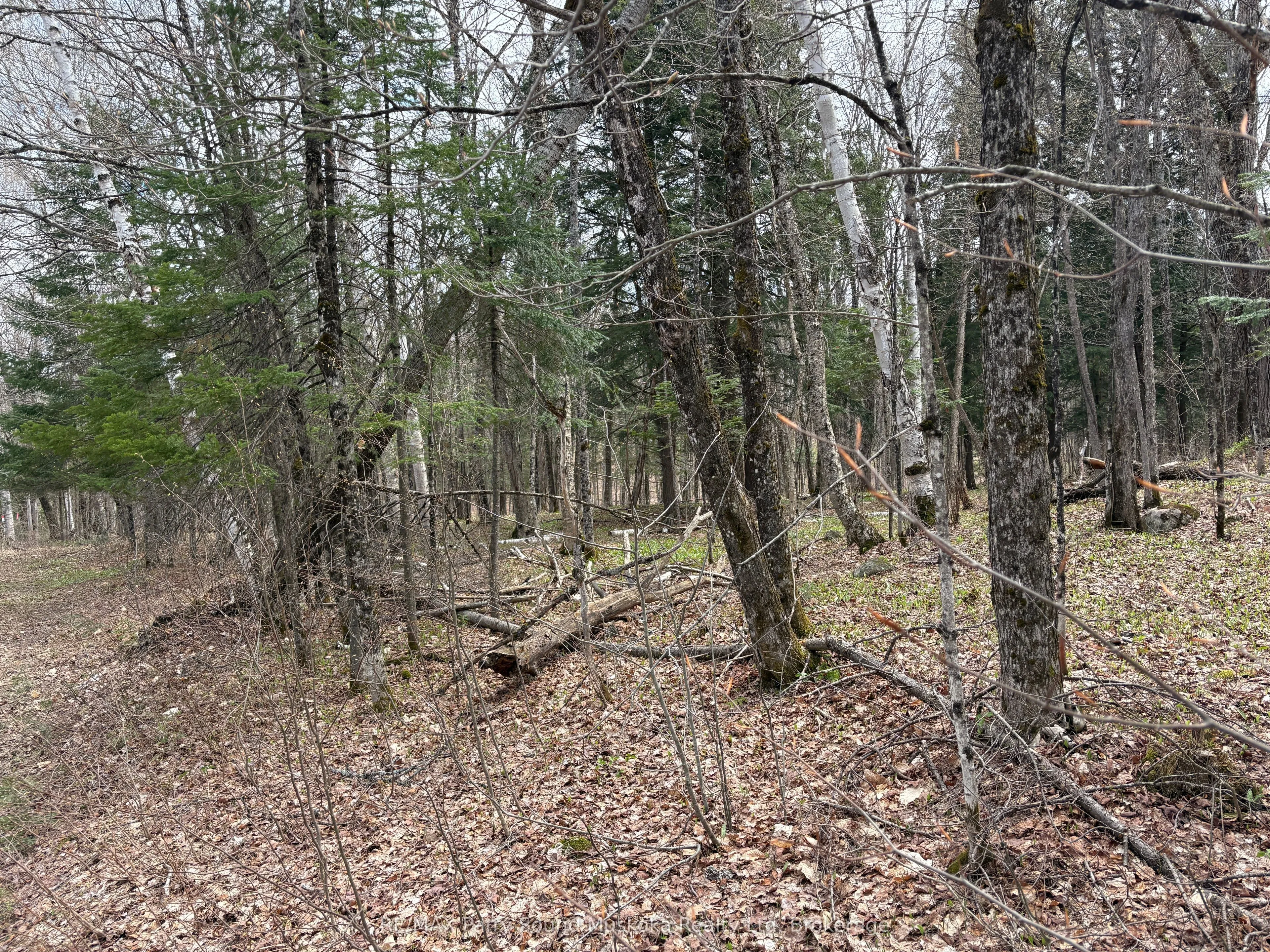 Vacant Land For Sale | X13231888