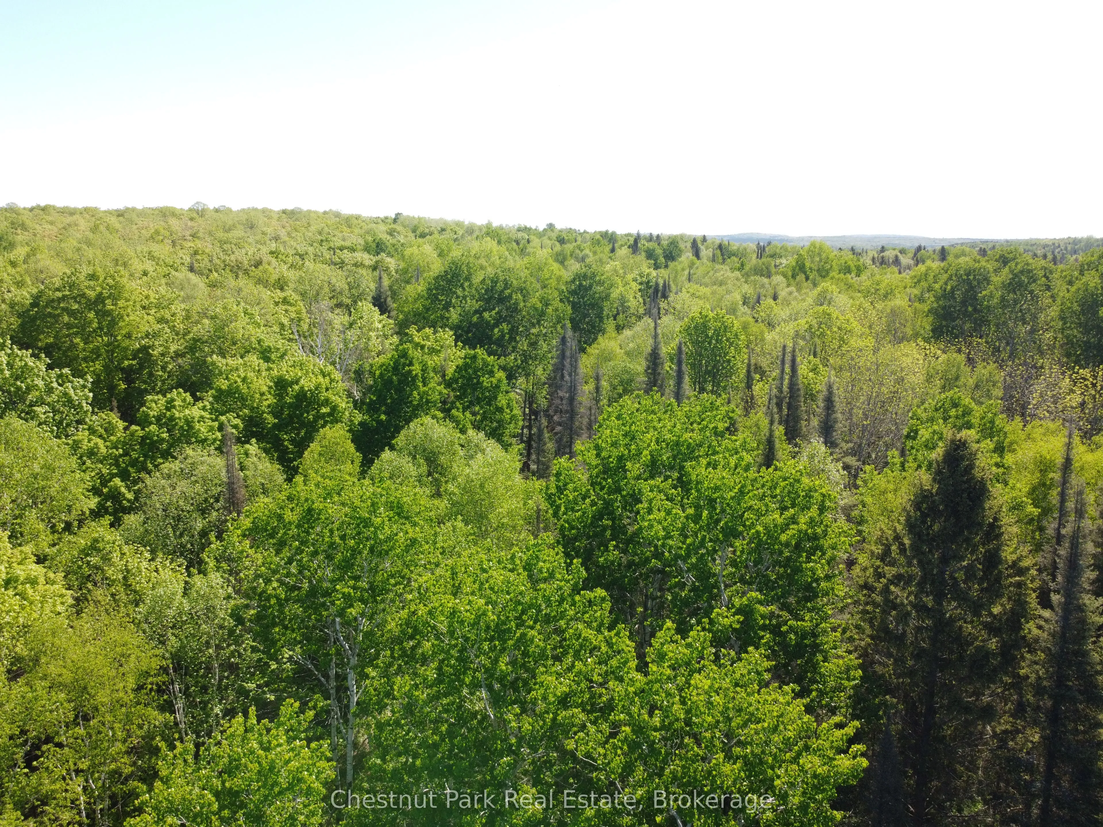 Vacant Land For Sale | X13232404