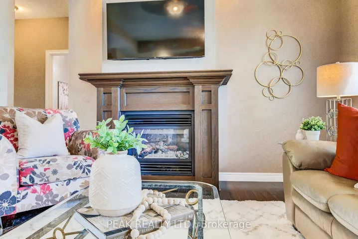 Gas fireplace