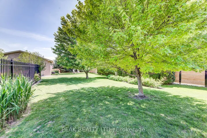 South West side of yard