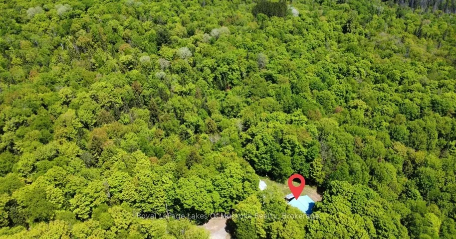 722 South Horn Lk Road, Armour, ON P0A 1C0