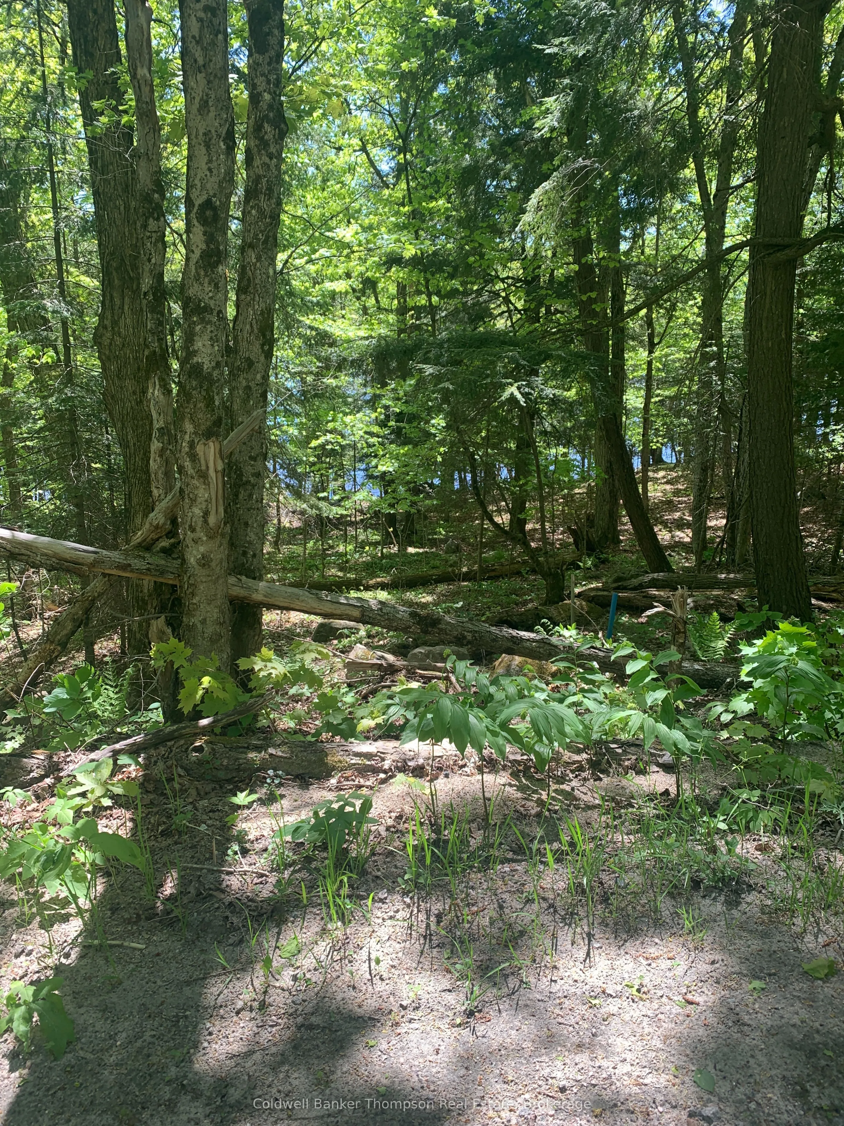 Vacant Land For Sale | X13250170