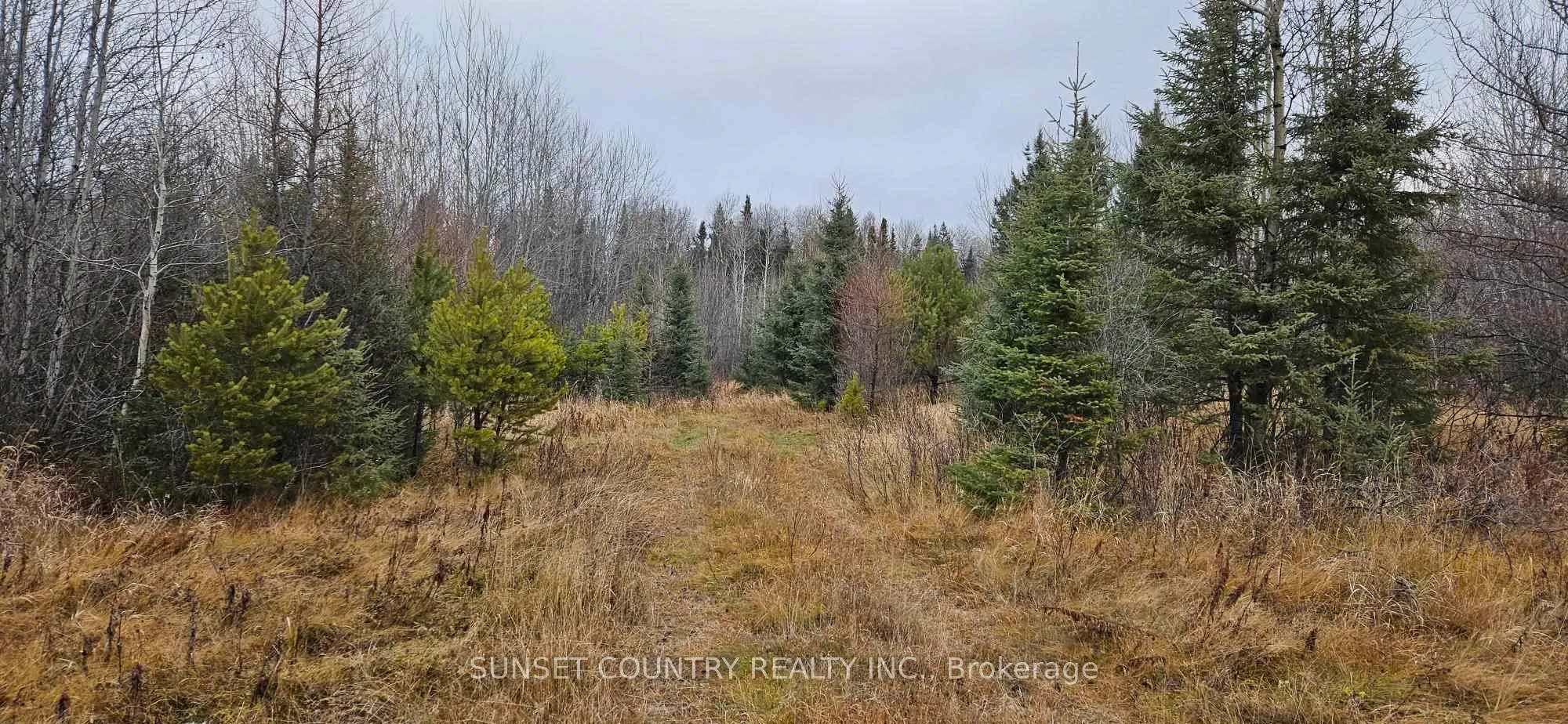 Vacant Land For Sale | X13266706