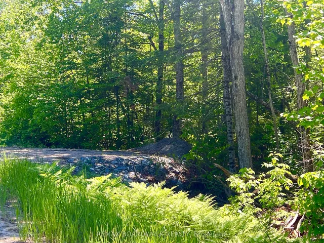 00 Buckshot Lake Road, Addington Highlands, ON K0H 1K0