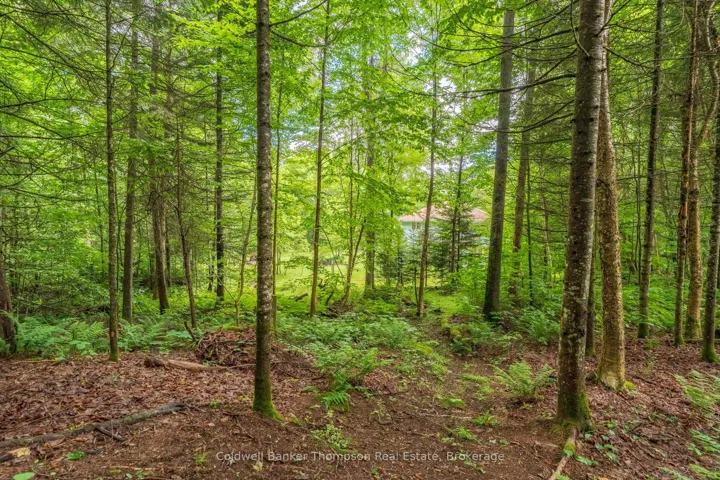 312 Old Aspdin Road, Huntsville, ON P0B 1M0