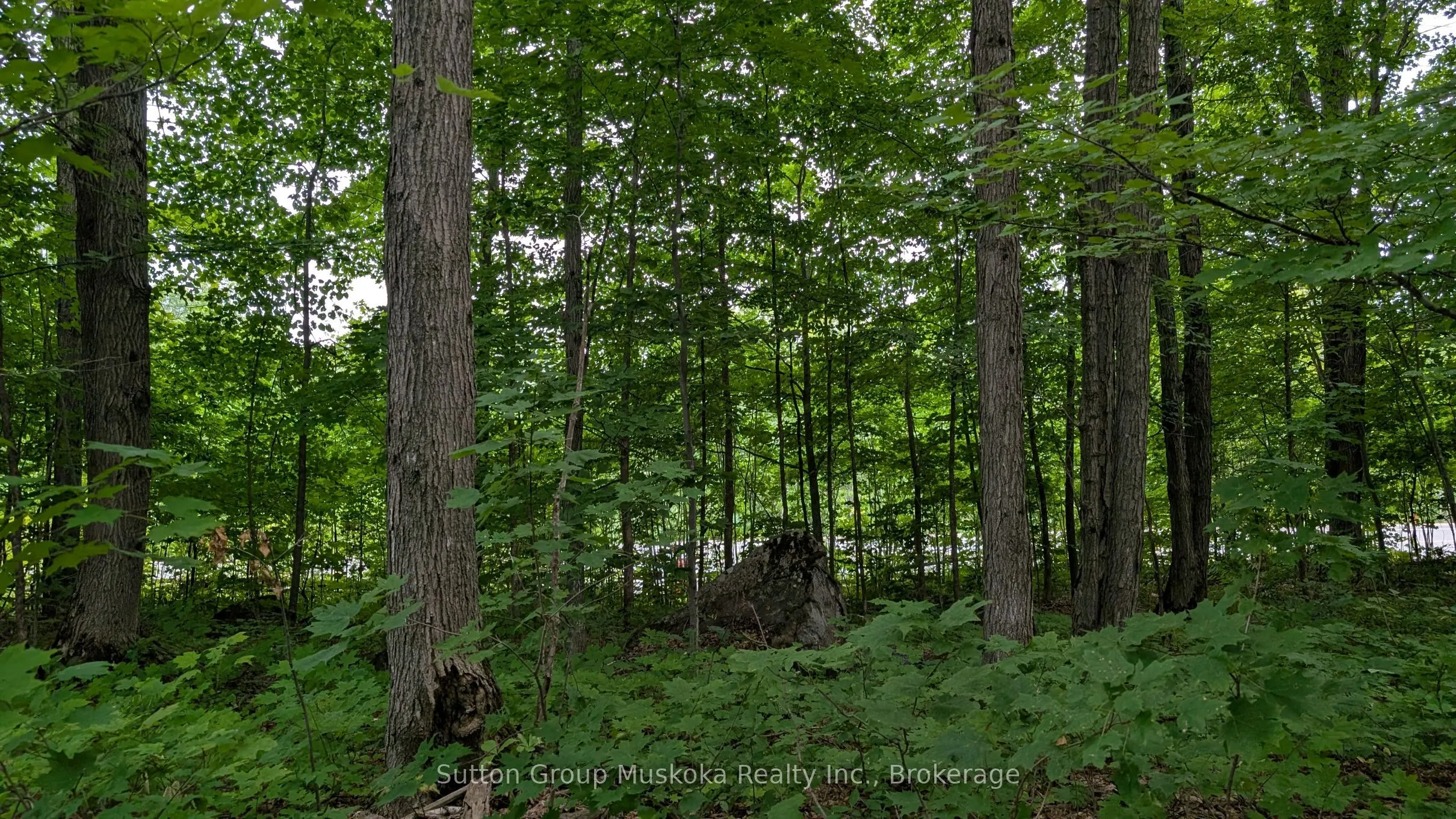 Vacant Land For Sale | X13473202