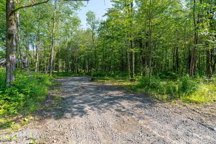 Lot 20 Concession 4 Road, Alfred And Plantagenet, ON K0B 1L0