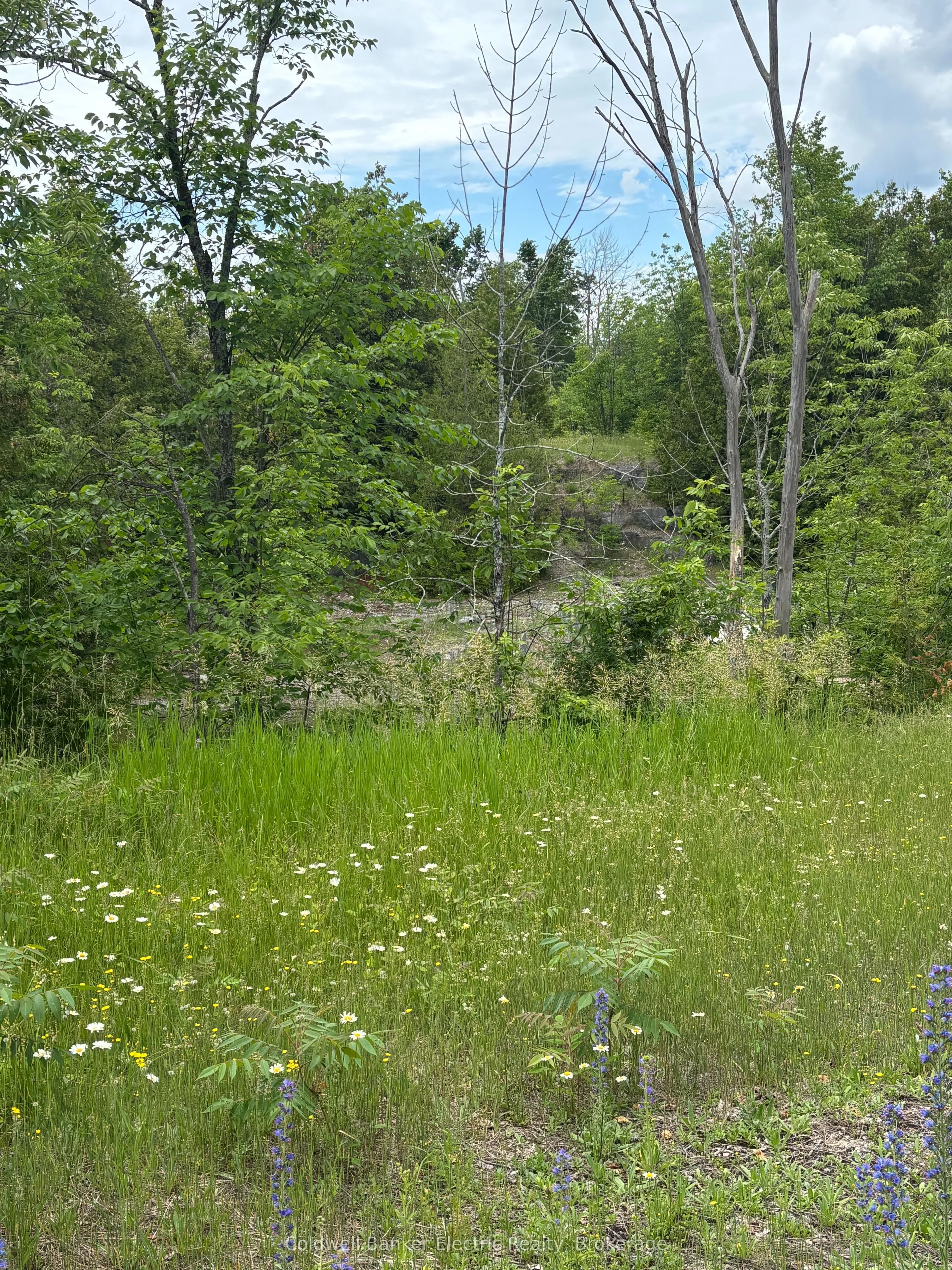 Vacant Land For Sale | X13489608