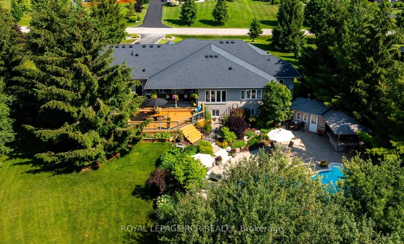 A backyard paradise!