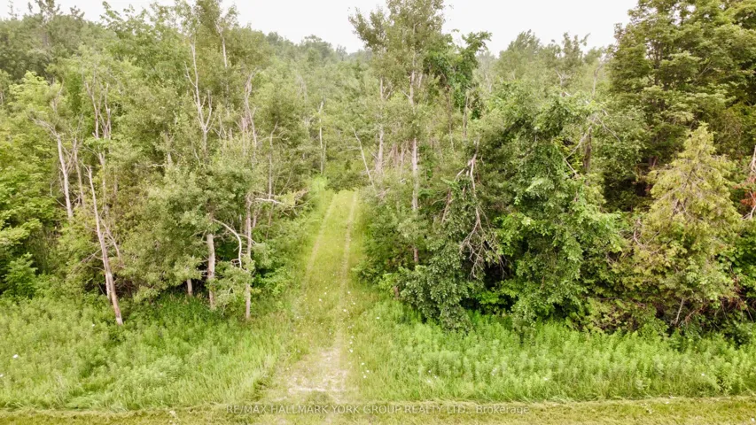 Pt Lot 80 Grey Road, Grey Highlands, ON N0C 1M0