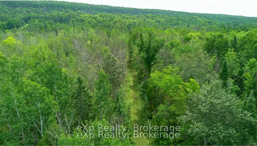 502354 Grey Road 1 Road, Georgian Bluffs, ON N0H 2T0