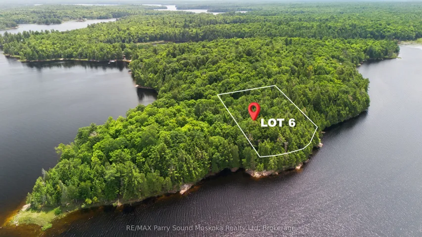 Lot 6
