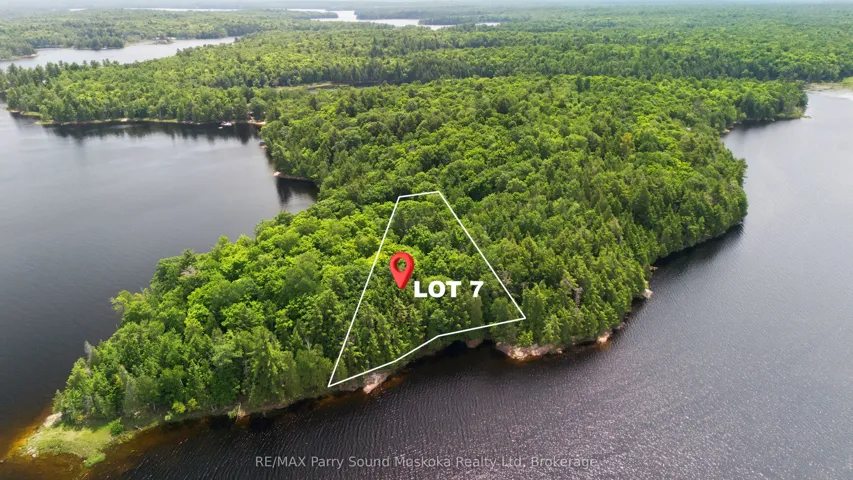 Lot 7