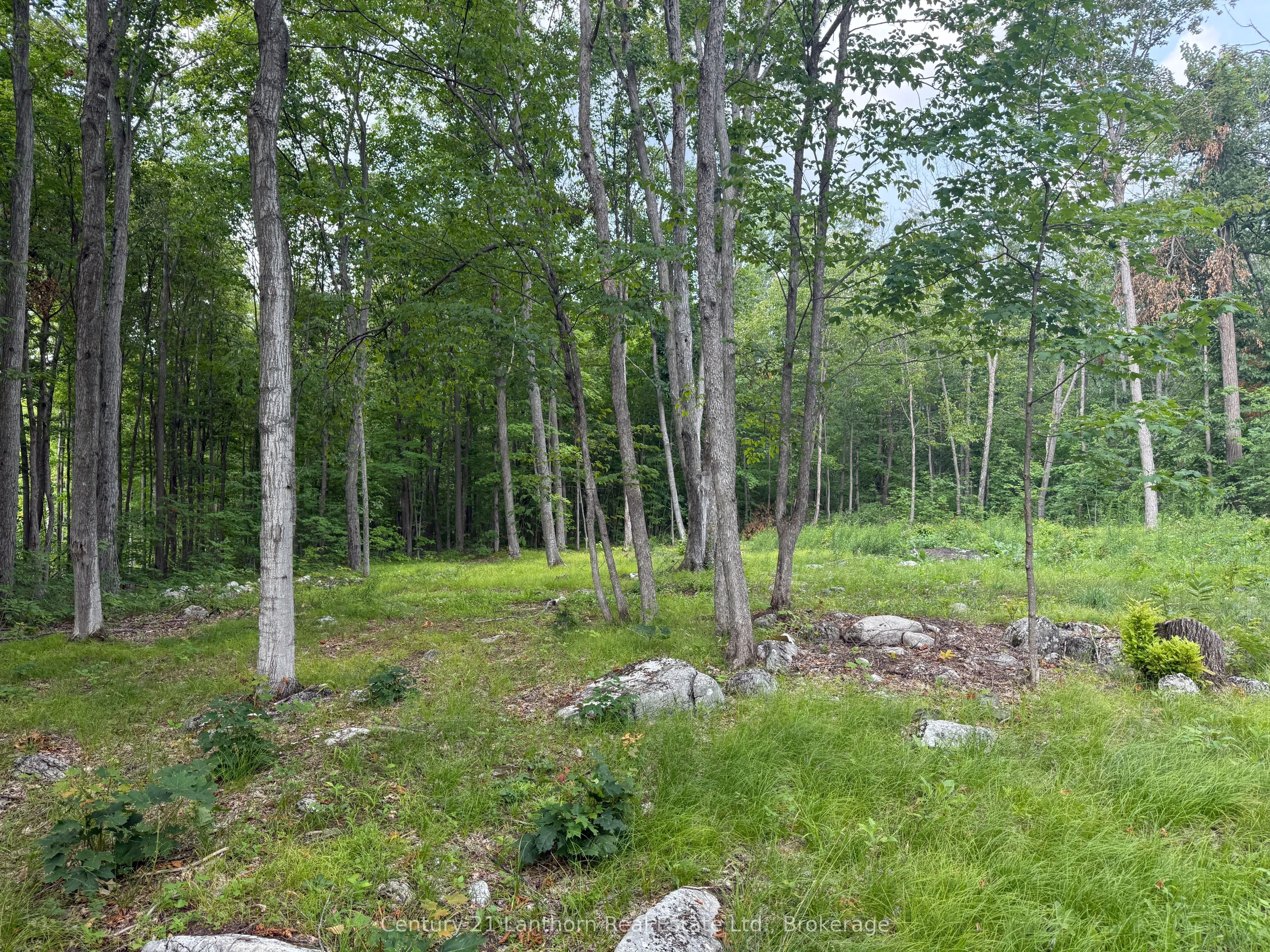 Vacant Land For Sale | X13614366