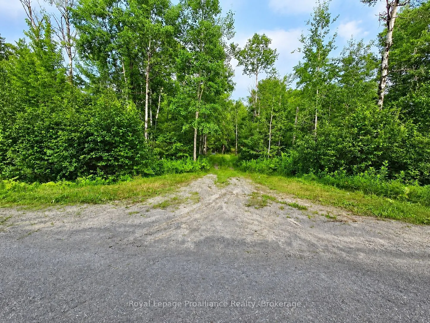 Vacant Land For Sale | X13617870