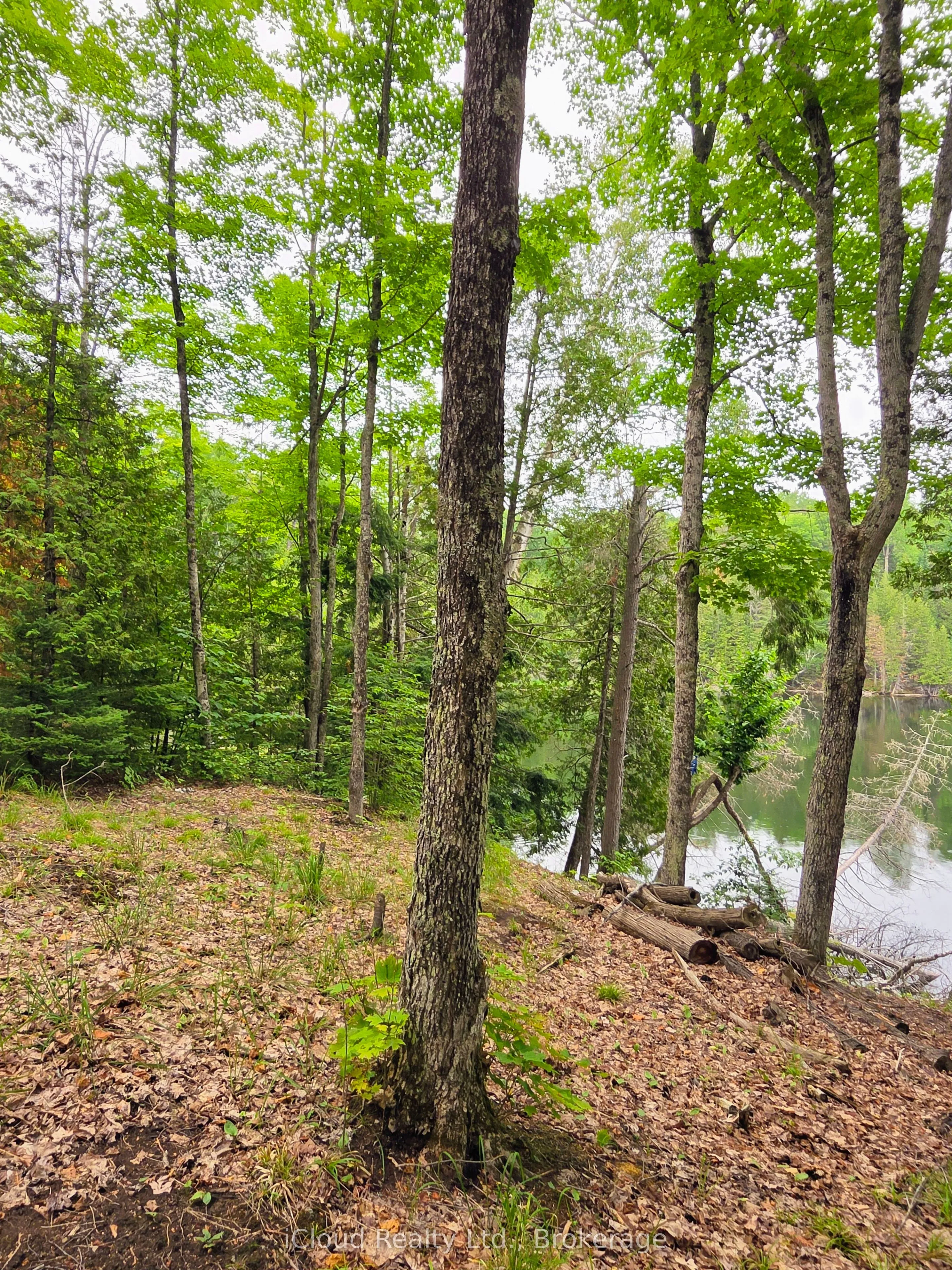 Vacant Land For Sale | X13621626
