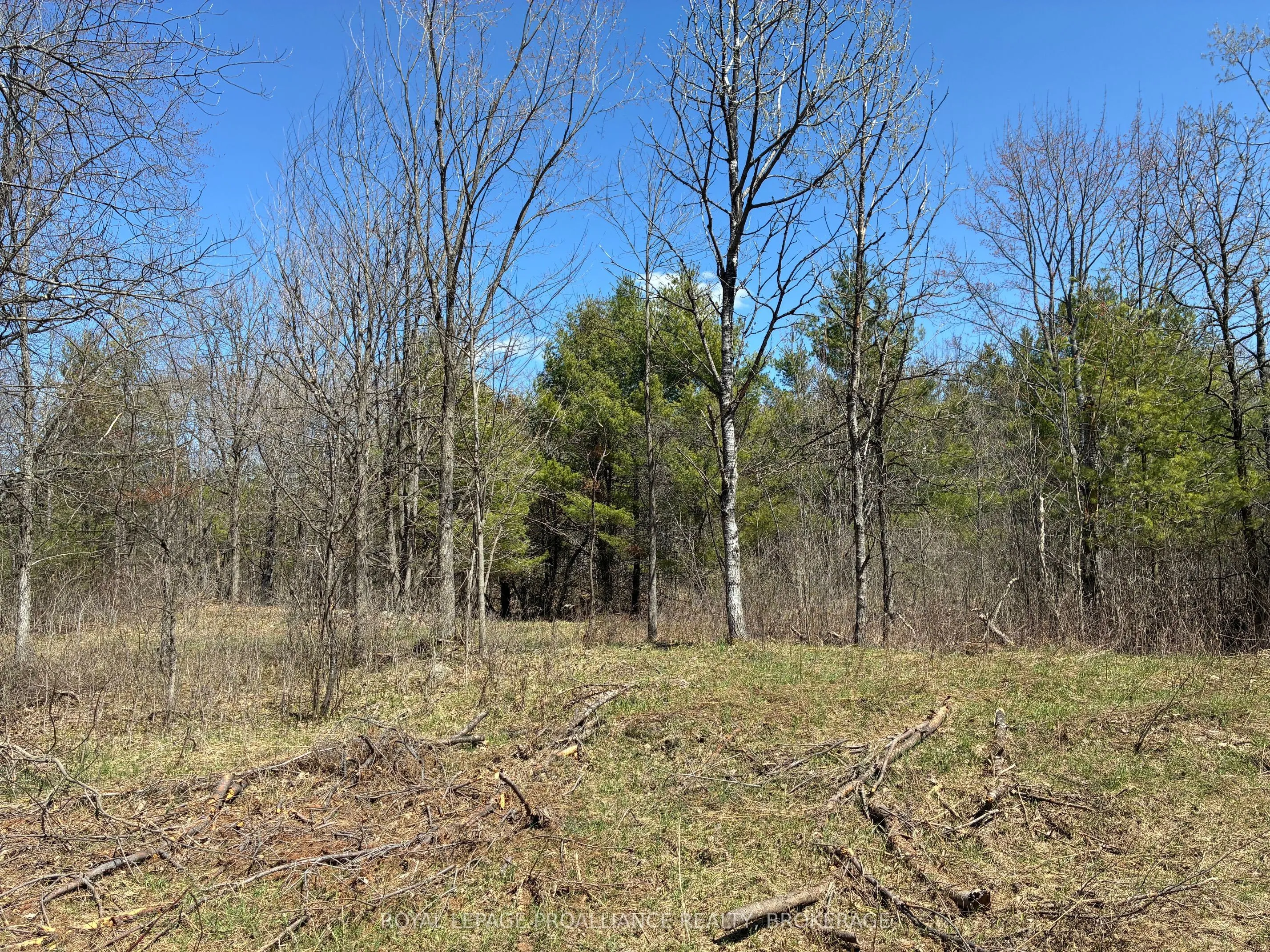 Vacant Land For Sale | X13622028