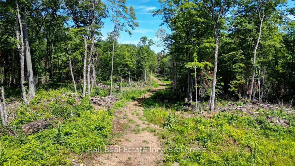 Vacant Land For Sale | X13622050