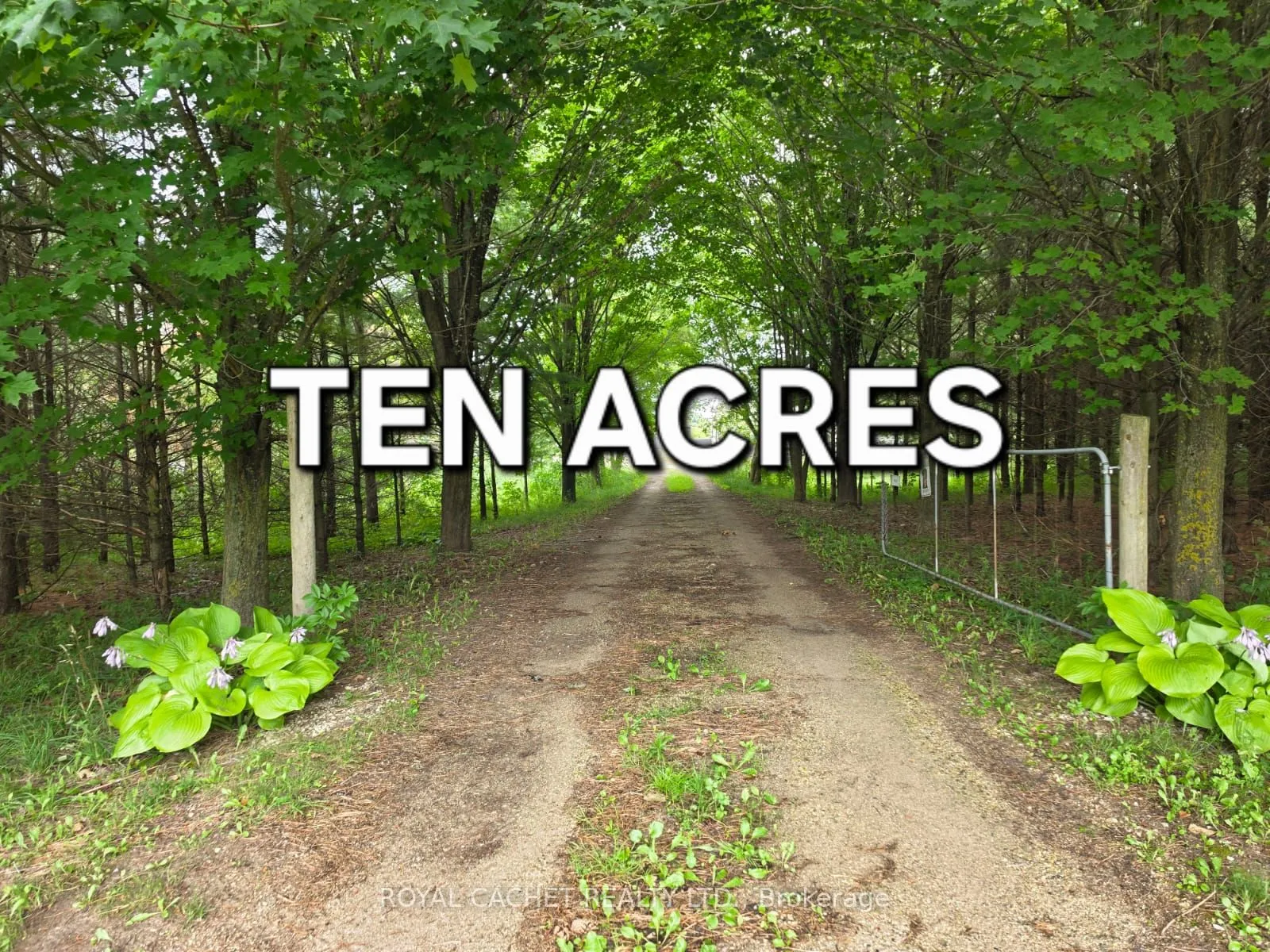 Farm For Sale | X13673828